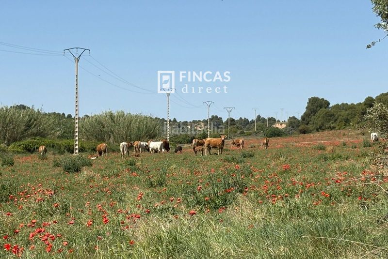 Foto f9181052-2831-4bae-808f-0a6fdf67e4c1. Masia amb piscina a Cretas