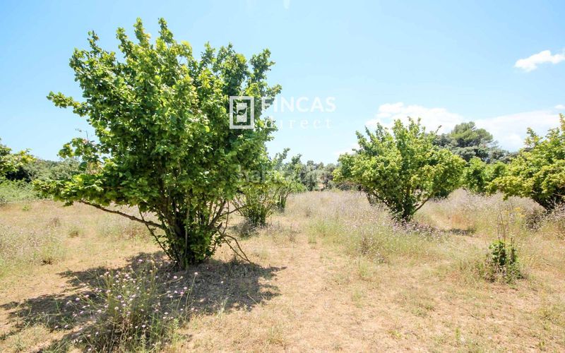 Foto 1e382554-859e-49ae-87cb-554884bf70b5. Masia a Cretas