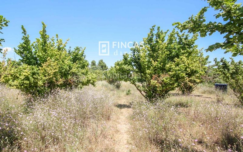 Foto 5036254e-eeb3-42bc-87f8-66dc5da9c47c. Masia a Cretas