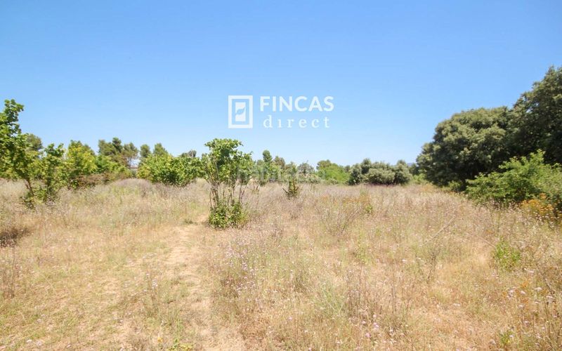 Foto ed1c87b4-b8c3-43fa-852f-9bcfb2eefea1. Masia a Cretas
