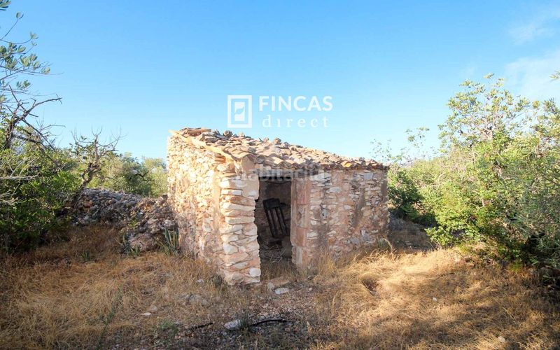 Foto 03dddfcc-b4e1-4788-9d0f-d599edde2771. Masía en Xerta