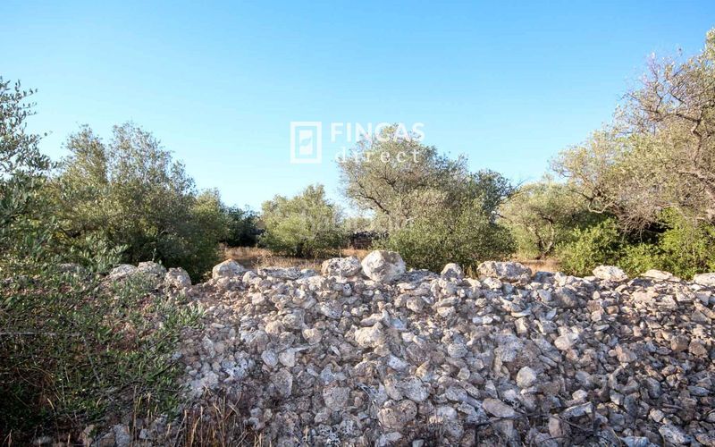 Foto 40a0eff7-d5ed-4db1-893c-13bf9934d712. Masía en Xerta