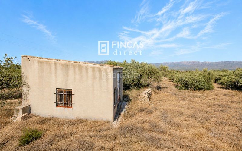 Foto 434bf9b8-baf7-4228-a8fc-0aee9b80ec89. Masía en Xerta