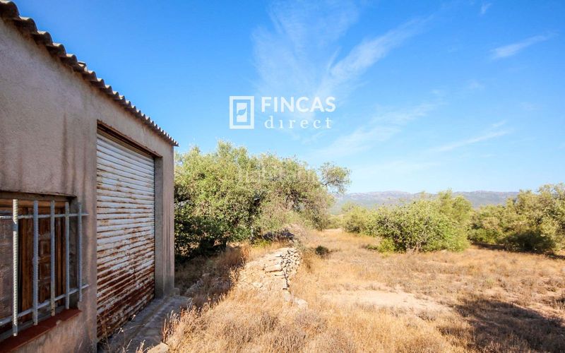 Foto 7f097a63-ce84-4fa9-bfc4-d98e112dd47f. Masía en Xerta