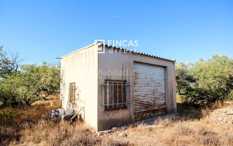 Foto 84c3c2f9-d106-480a-adb7-a3b30c3421fa. Masía en Xerta