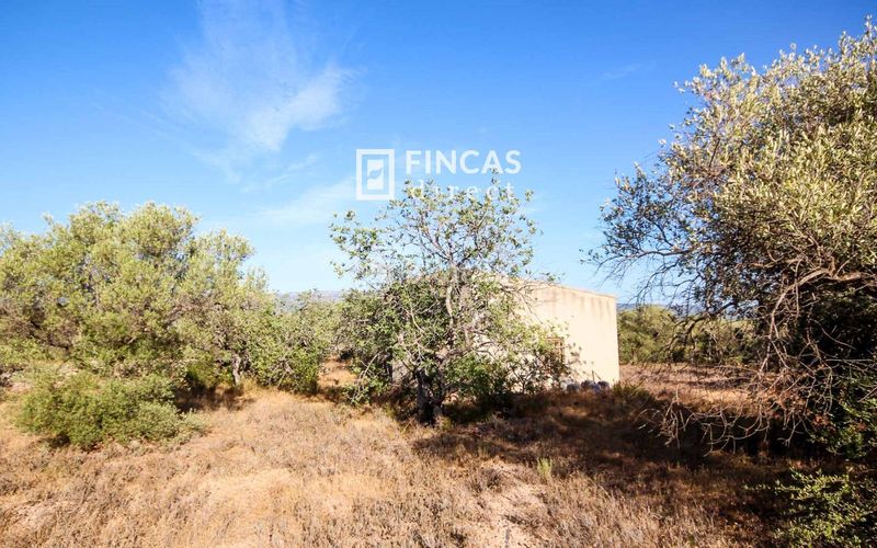 Foto a1c70189-1102-458f-8c08-19a87137a0e0. Masía en Xerta