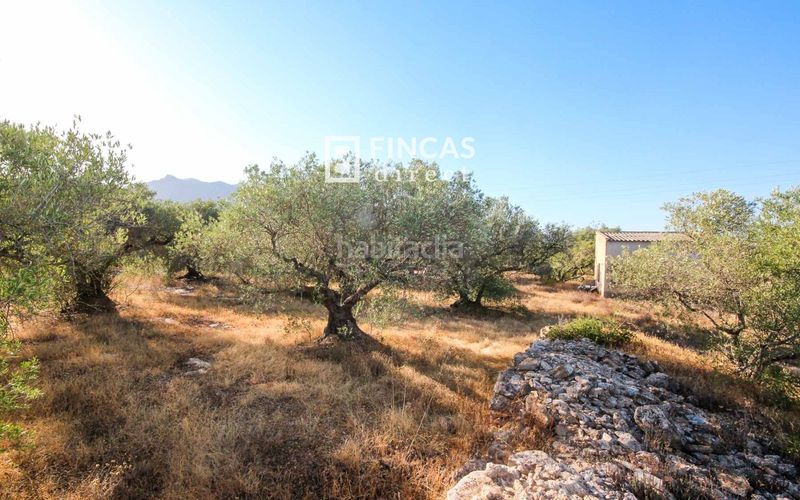 Foto a91f8713-5a0b-4563-bfd2-ed13dbba656b. Masía en Xerta