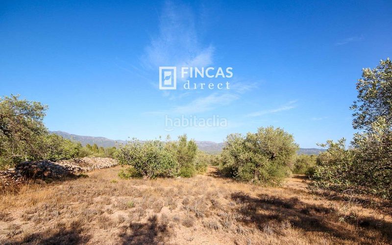 Foto c00bcc35-61f3-42ae-b0b3-47485e9220c6. Masía en Xerta
