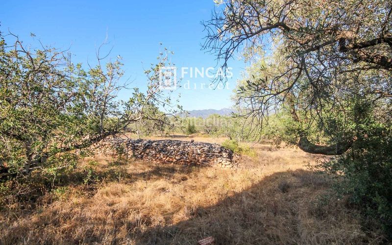 Foto c026e7e9-0cbb-4b7f-8a93-d25e6c22c553. Masía en Xerta