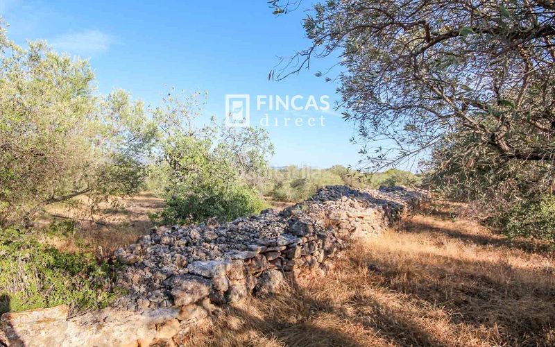 Foto fa151255-e65b-4ae1-be30-3a0de8eb91a3. Masía en Xerta