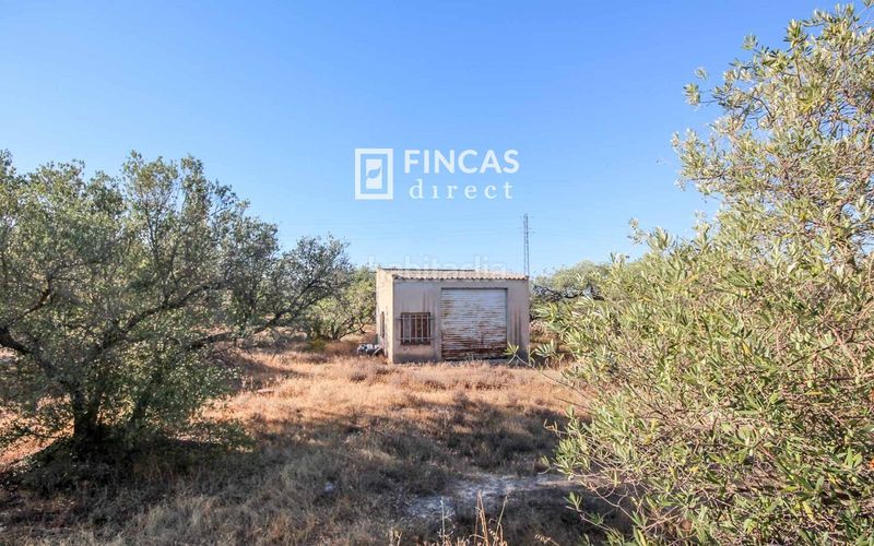 Foto fcb98b68-96f8-4915-80aa-62a219cdaad5. Masía en Xerta