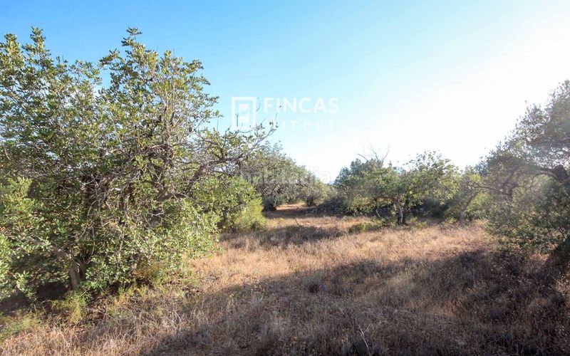 Foto fd2479b0-b67b-467f-b501-48a9df315498. Masía en Xerta