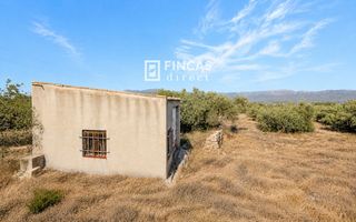 Mas  Vfp9+769. Linda finca de olivos, caseta de 1 hab, pozo propio y buen acces