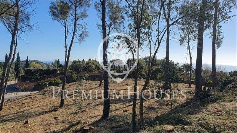 Foto 75bf4b46-41aa-436d-85b2-9a4ad426bf63. Terreno residenziale in Rocaferrera Sant Andreu de Llavaneres