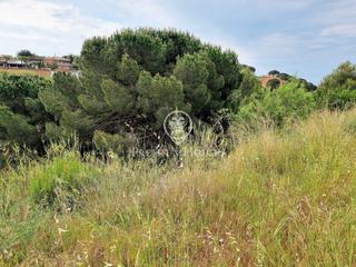 Terreny residencial a Calella. Fantástica parcela en venta en calella