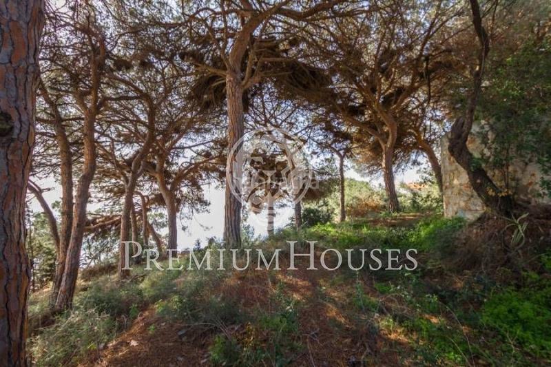 Foto 2213b602-544a-4f27-be18-3c417ec98f15. Terreno residencial terreno con magníficas vistas mar en Arenys de Mar