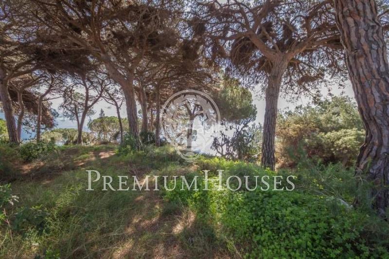 Foto 55617f60-c0b7-4f0d-9250-38e87a501fce. Terreno residencial terreno con magníficas vistas mar en Arenys de Mar