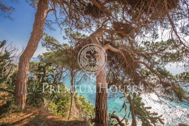 Foto 686e9018-884e-4e50-8687-2de3157b65bf. Terreno residencial terreno con magníficas vistas mar en Arenys de Mar