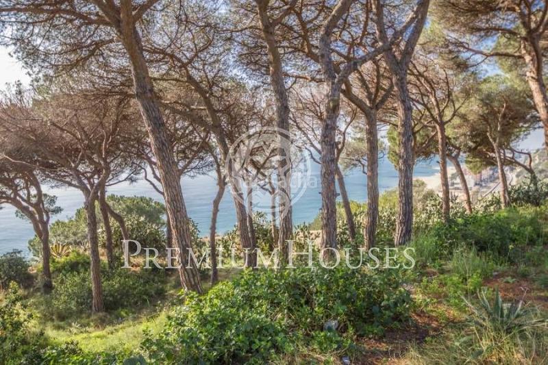 Foto a30a5841-76f1-4094-95e3-409842eb8e9e. Terreno residencial terreno con magníficas vistas mar en Arenys de Mar