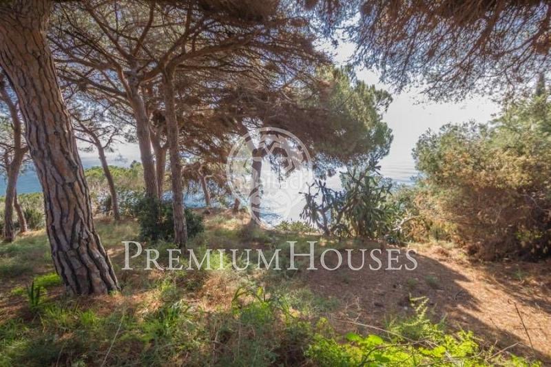 Foto c1c1daeb-b41b-42da-8dbd-70532017bb95. Terreno residencial terreno con magníficas vistas mar en Arenys de Mar