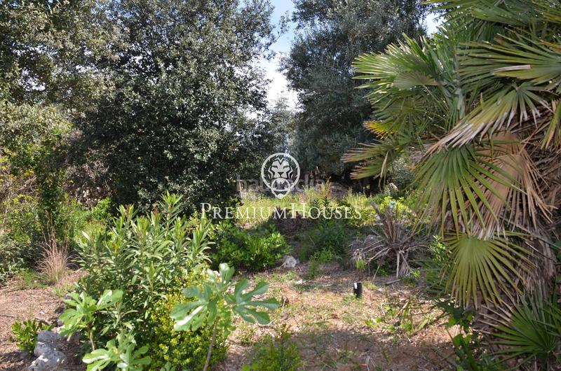Foto 24ca5f92-dee8-4db0-a09d-bd8496536854. Terreny residencial a Masnou Alt Masnou (El)