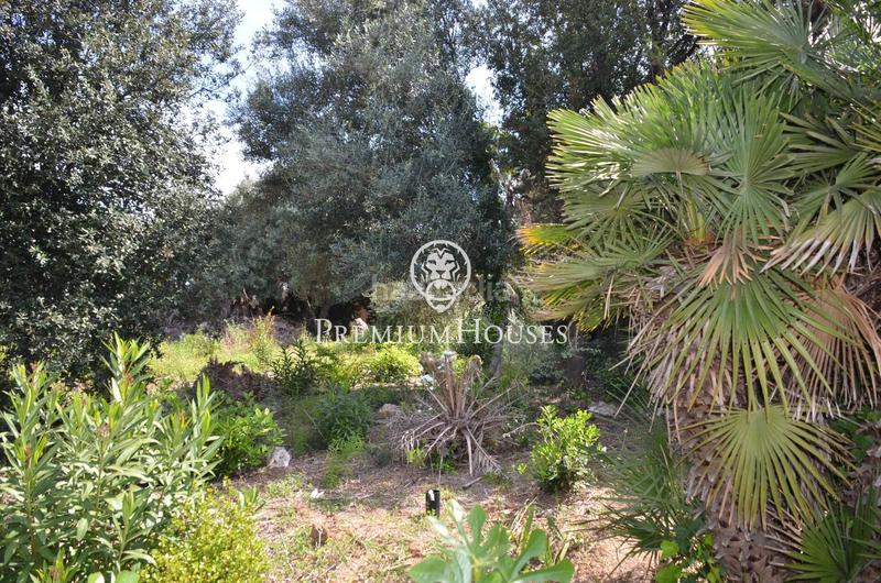 Foto 3d3a3c56-0032-48ab-8089-dd7578cfe027. Terreny residencial a Masnou Alt Masnou (El)