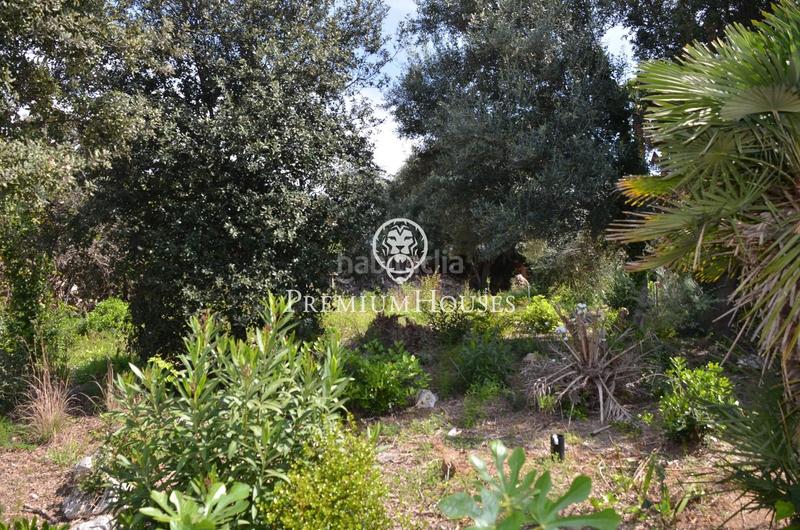 Foto 5b178513-d24f-49e1-8807-486145aa0ae2. Terreny residencial a Masnou Alt Masnou (El)