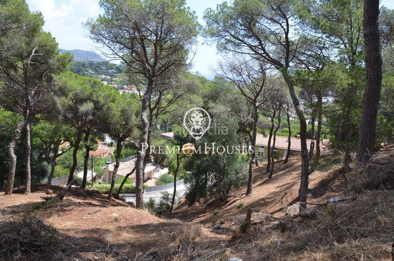 Foto 6ef87d1e-5f2f-4d26-92f0-7f373687305f. Terreny residencial a Premià de Dalt