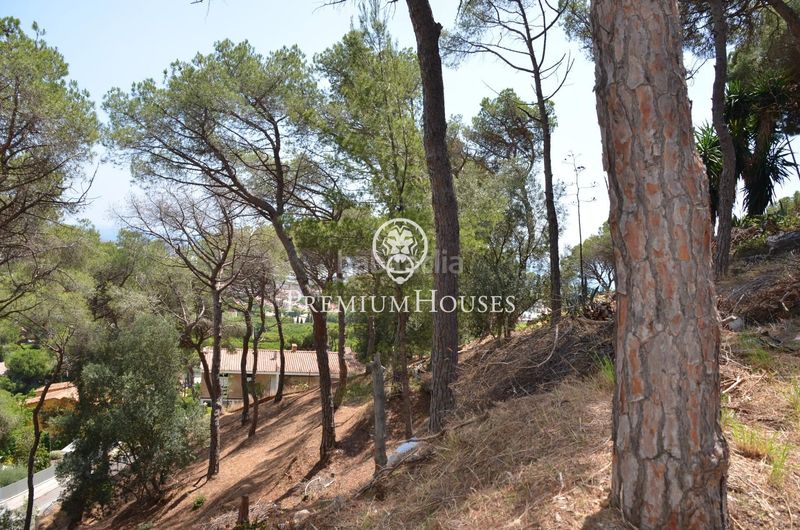Foto b68fdb56-c352-4553-b237-b72823a2222c. Terreny residencial a Premià de Dalt