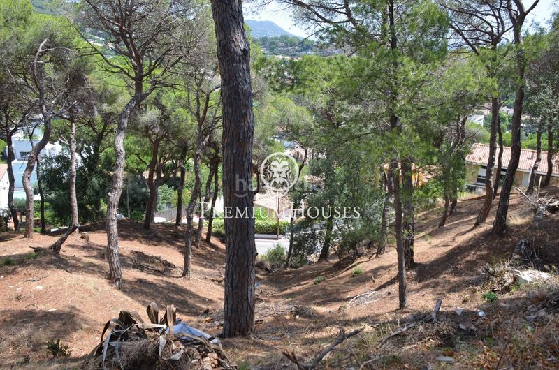 Foto d2aa1572-6610-4d11-8a77-331d8159fe43. Terreny residencial a Premià de Dalt