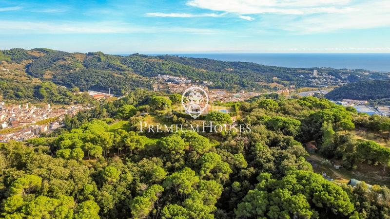 Foto 01f40d51-45ee-44fb-96d6-b381d507db08. Casa con parcheggio piscina in Arenys de Munt