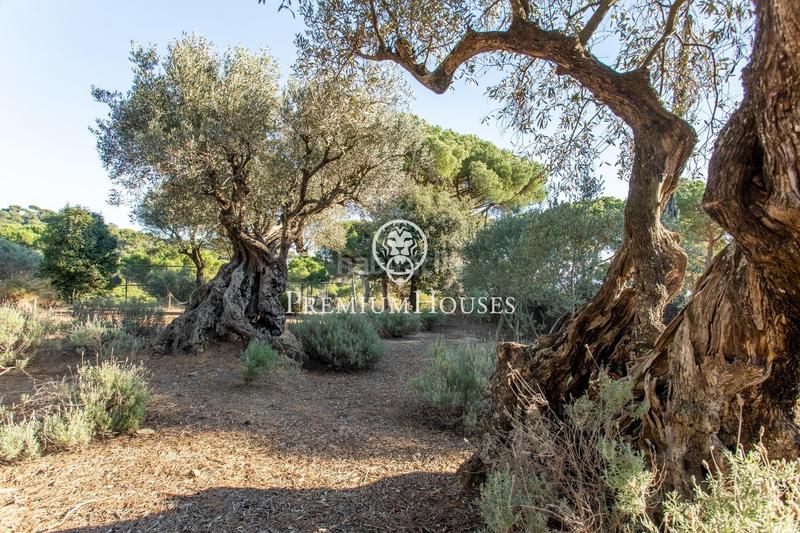 Foto 3b30bd91-33ee-493a-8cd4-93632585a1f4. Casa amb calefacció aparcament piscina a Rocaferrera Sant Andreu de Llavaneres