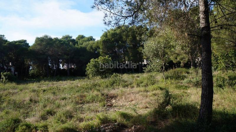 Foto ea9c6c40-834c-47f0-9a2f-211bdc0d6e85. Terreno residencial en Cap Martí - El Tossalet - Pinomar Xàbia