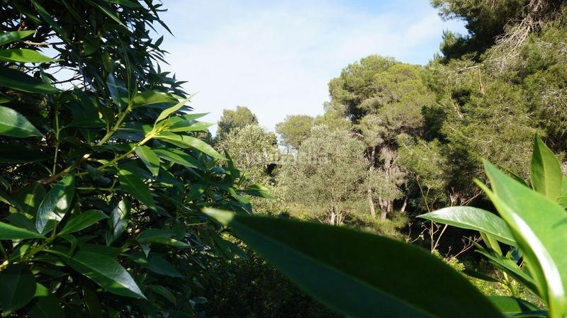 Foto 6c0c051d-669d-44a7-b991-c6155e026c93. Residential plot in Cap Martí - El Tossalet - Pinomar Xàbia