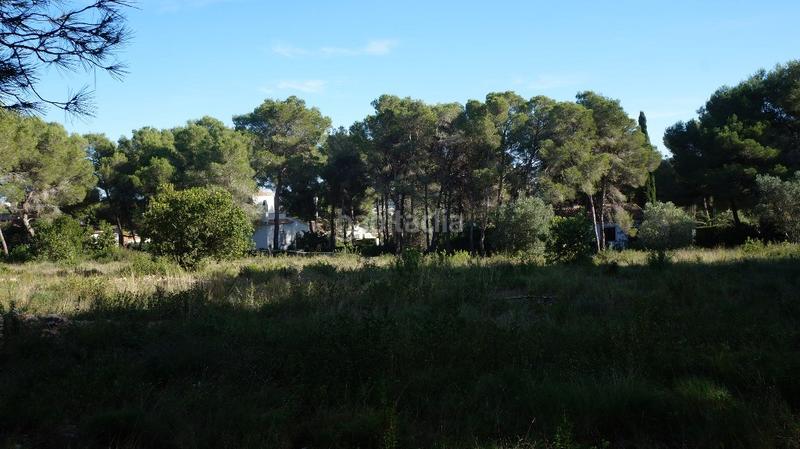 Foto 75ee3ea5-4d1a-4980-b35f-9f8f6727f7e7. Residential plot in Cap Martí - El Tossalet - Pinomar Xàbia