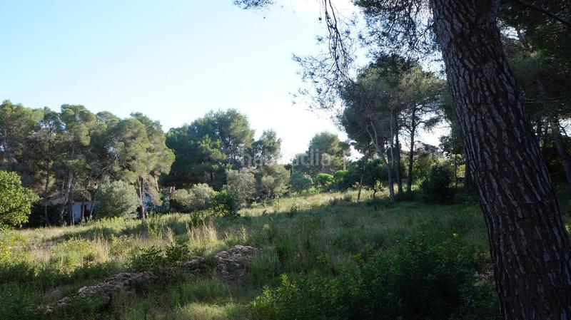 Foto 7aaa1045-d8f7-425b-aa2e-19953664358a. Residential plot in Cap Martí - El Tossalet - Pinomar Xàbia