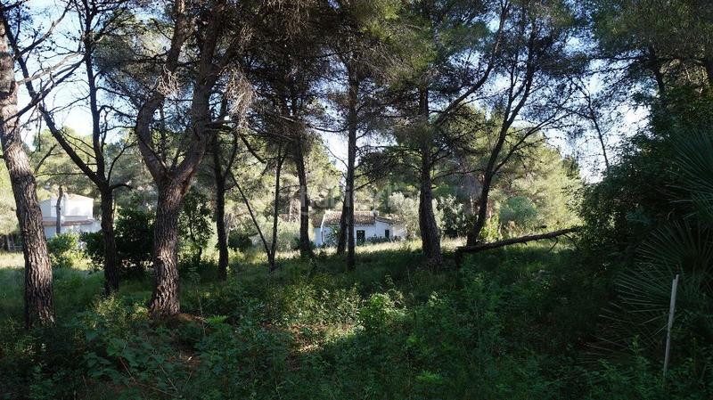 Foto aaf6fbfd-45ba-41a4-ac07-fa493857b4f5. Residential plot in Cap Martí - El Tossalet - Pinomar Xàbia