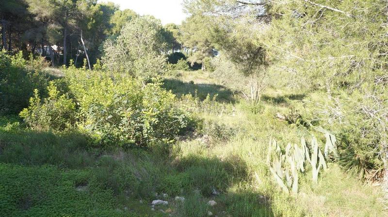Foto c3f59478-b147-4ea5-bd33-78c746d439c1. Residential plot in Cap Martí - El Tossalet - Pinomar Xàbia