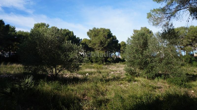 Foto f0cfb7ff-846d-49ec-ae38-647dabc1e50d. Residential plot in Cap Martí - El Tossalet - Pinomar Xàbia