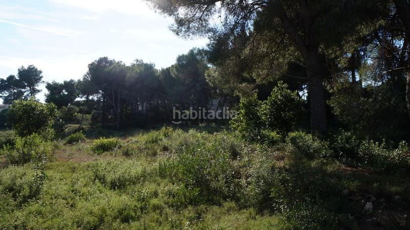 Foto ff52381d-e0a2-40ff-b8fe-e6c857fce04a. Residential plot in Cap Martí - El Tossalet - Pinomar Xàbia