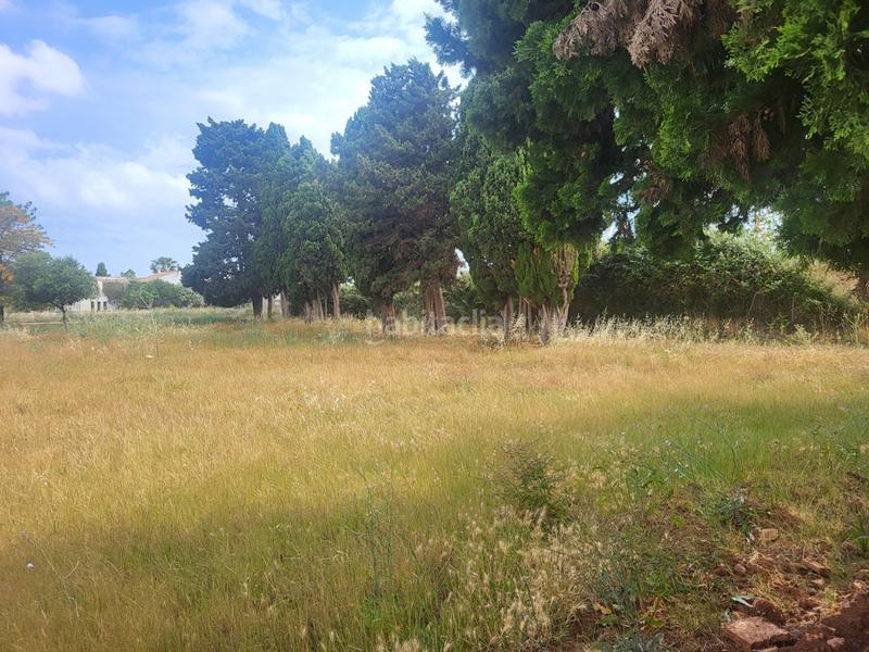 Foto f98e0d44-f2c2-40d5-acf9-b4b380fa3b2a. Residential plot in La Pedrera-Vessanes Dénia