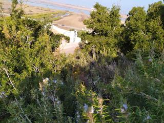 Terreny residencial a Devessa - Monte Pego