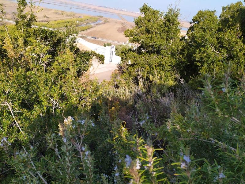 Foto 653f8f21-6869-4f55-b096-ebb1a60be924. Terreno residenziale in Devessa - Monte Pego Dénia