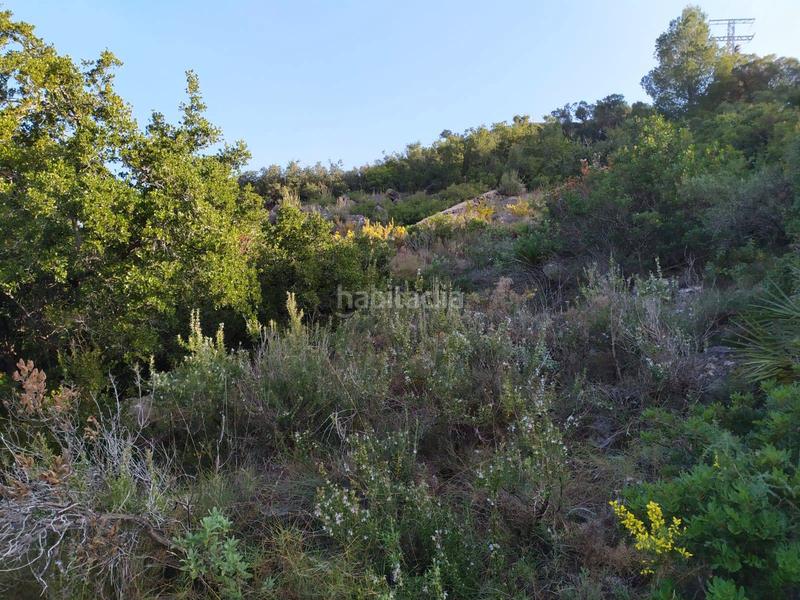 Foto a44d0b2a-0fab-41d9-862d-537393dd2fc0. Terreno residenziale in Devessa - Monte Pego Dénia