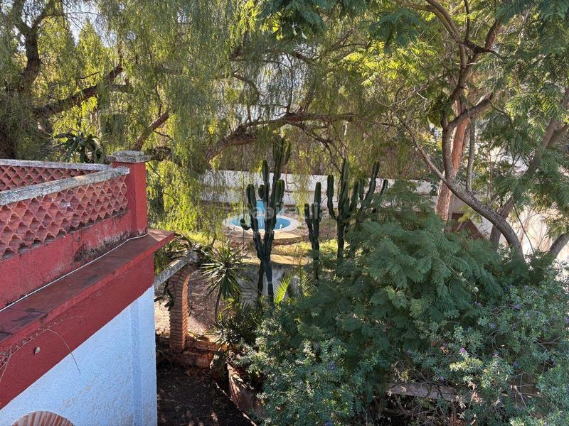 Foto 4fda7827-ae7a-4557-9d91-9c6ff513b2cd. Masia a Las Rotas / Les Rotes Dénia