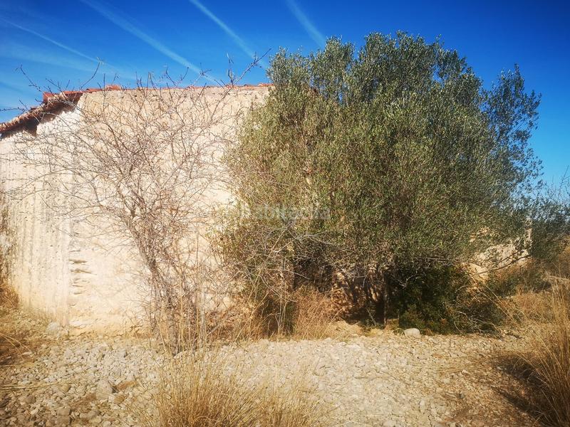 Foto 056ca1b6-c25b-4dad-b88b-d2f708296e62. Finca rústica a Traiguera