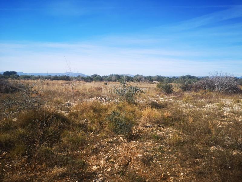 Foto 126e6f36-9529-4cea-b465-1b99d6073646. Finca rústica a Traiguera