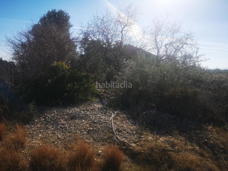 Foto 3d9b7d0a-4473-4cc4-b09c-a6819c435153. Finca rústica a Traiguera