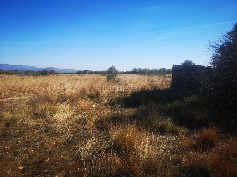 Foto 4eb32df8-3eb8-4a6f-b85c-d77348daf99d. Finca rústica a Traiguera