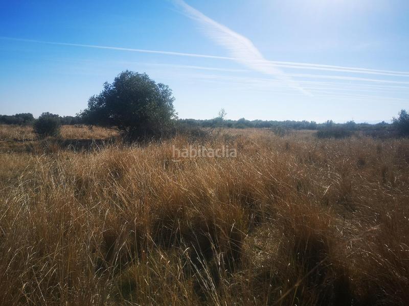 Foto 5f2d5811-abd1-41e4-afa6-c5ffbbb3c42f. Finca rústica a Traiguera